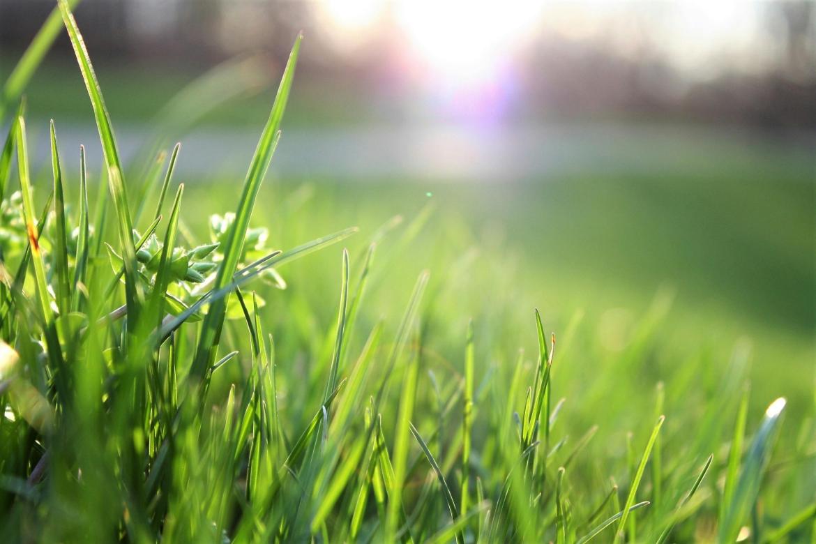 Environnement