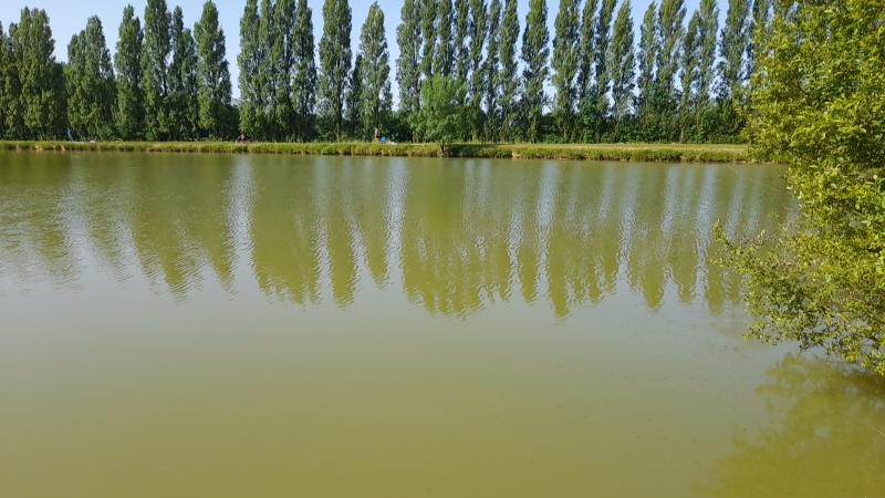 Plan d'eau Thouarsais-Bouildroux