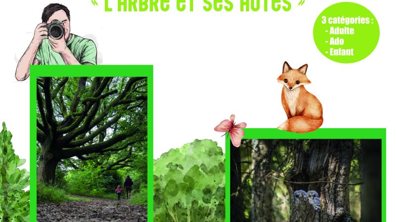 Affiche concours photo