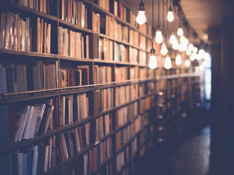 Les Nuits de la Lecture dans nos bibliothèques