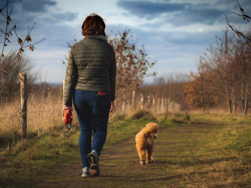 Défi : se mettre en mouvement, c'est bon pour sa santé physique et mentale ! 