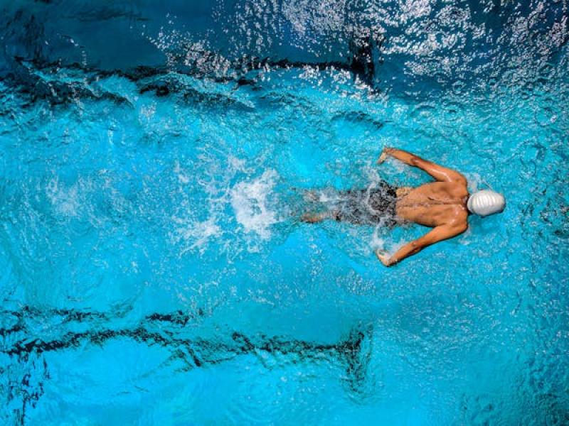 Natation adultes