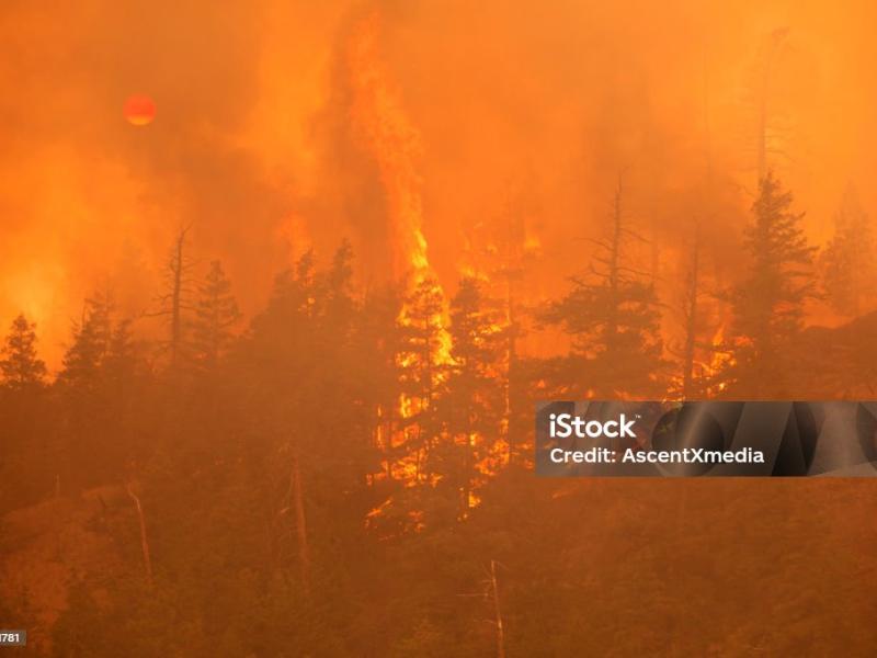 Prévention des incendies de forêt