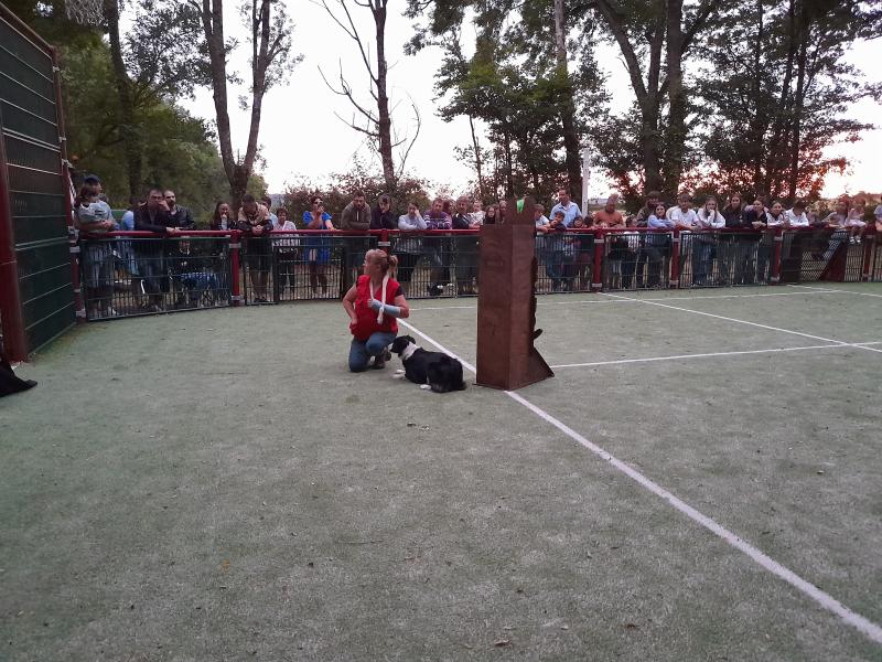 Feu d'artifice à Cezais