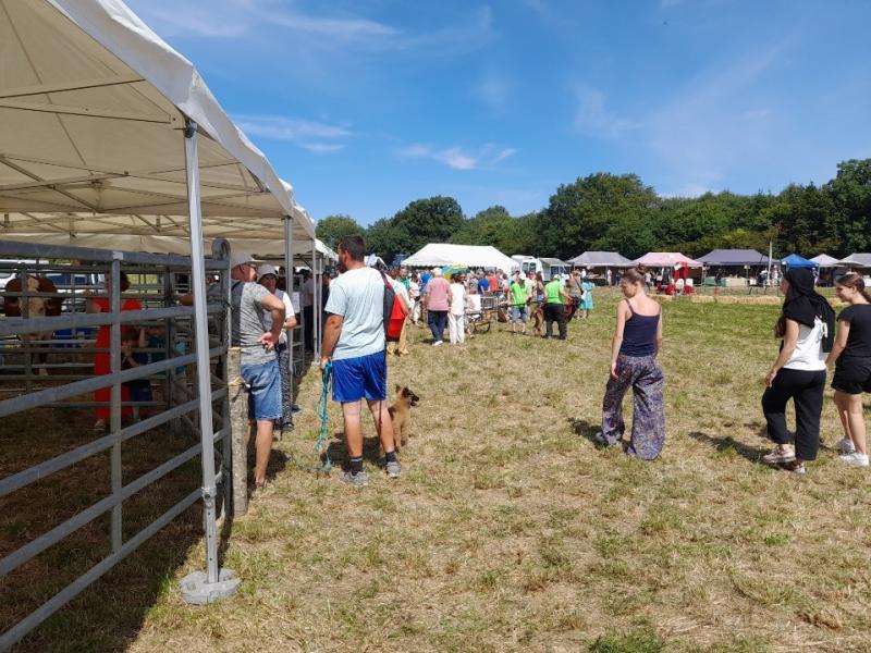 Fête de la chèvre à Thouarsais-Bouildroux