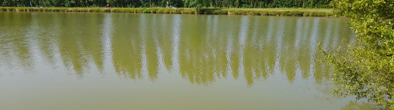Ouverture de la pêche au plan d'eau de…